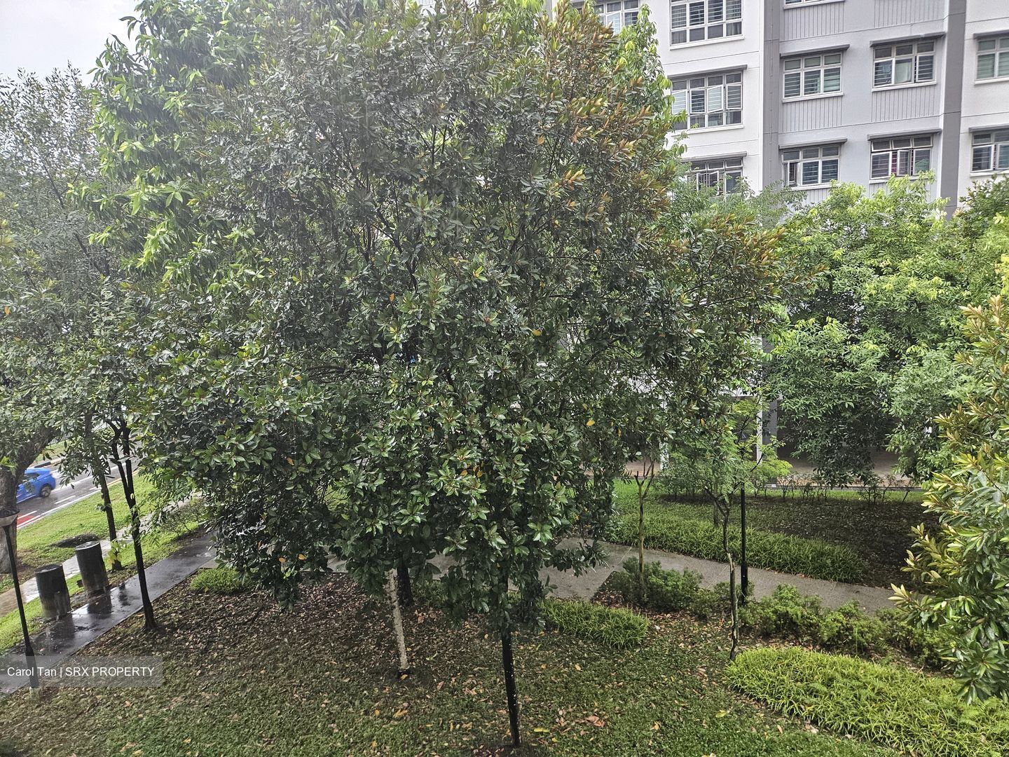 Blk 424C Orchid Spring @ Yishun (Yishun), HDB 4 Rooms #580703651